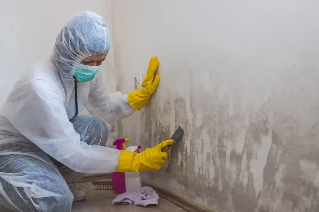 water damage restoration service Powell-Hood-Hamilton